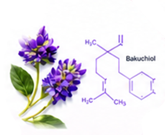 Premium Cosmetic Active Ingredients