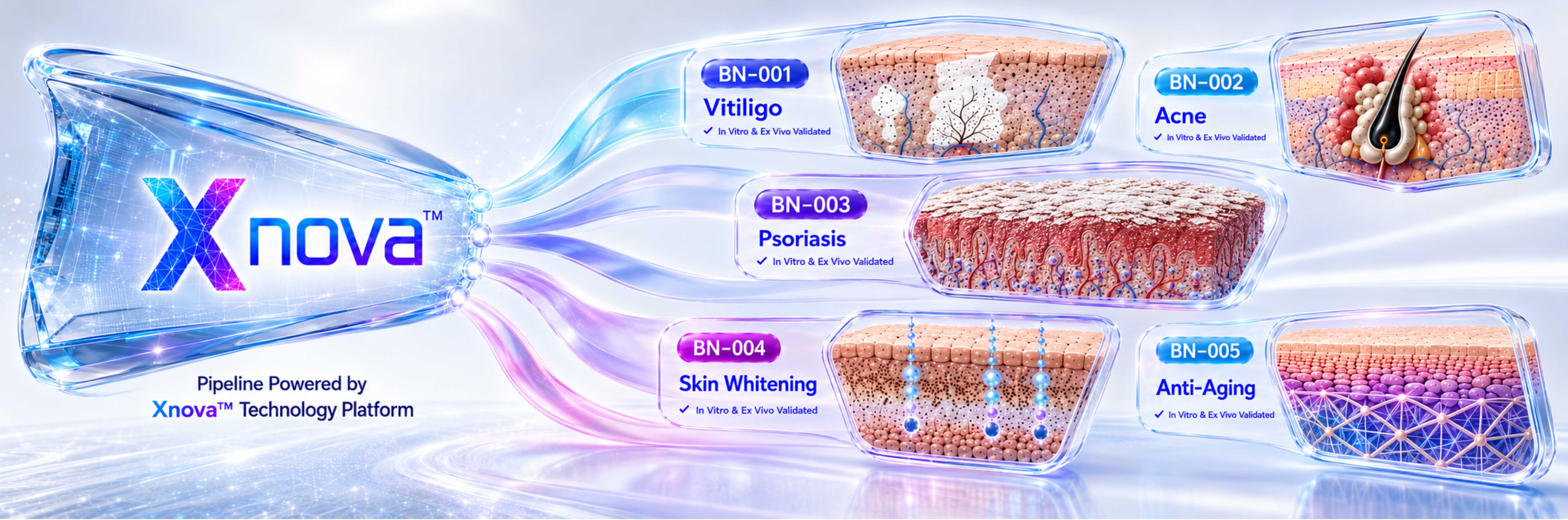 Bakunova Pipeline Powered by Xnova Technology Platform — BN-001 Vitiligo, BN-002 Acne, BN-003 Psoriasis, BN-004 Skin Whitening, BN-005 Anti-Aging