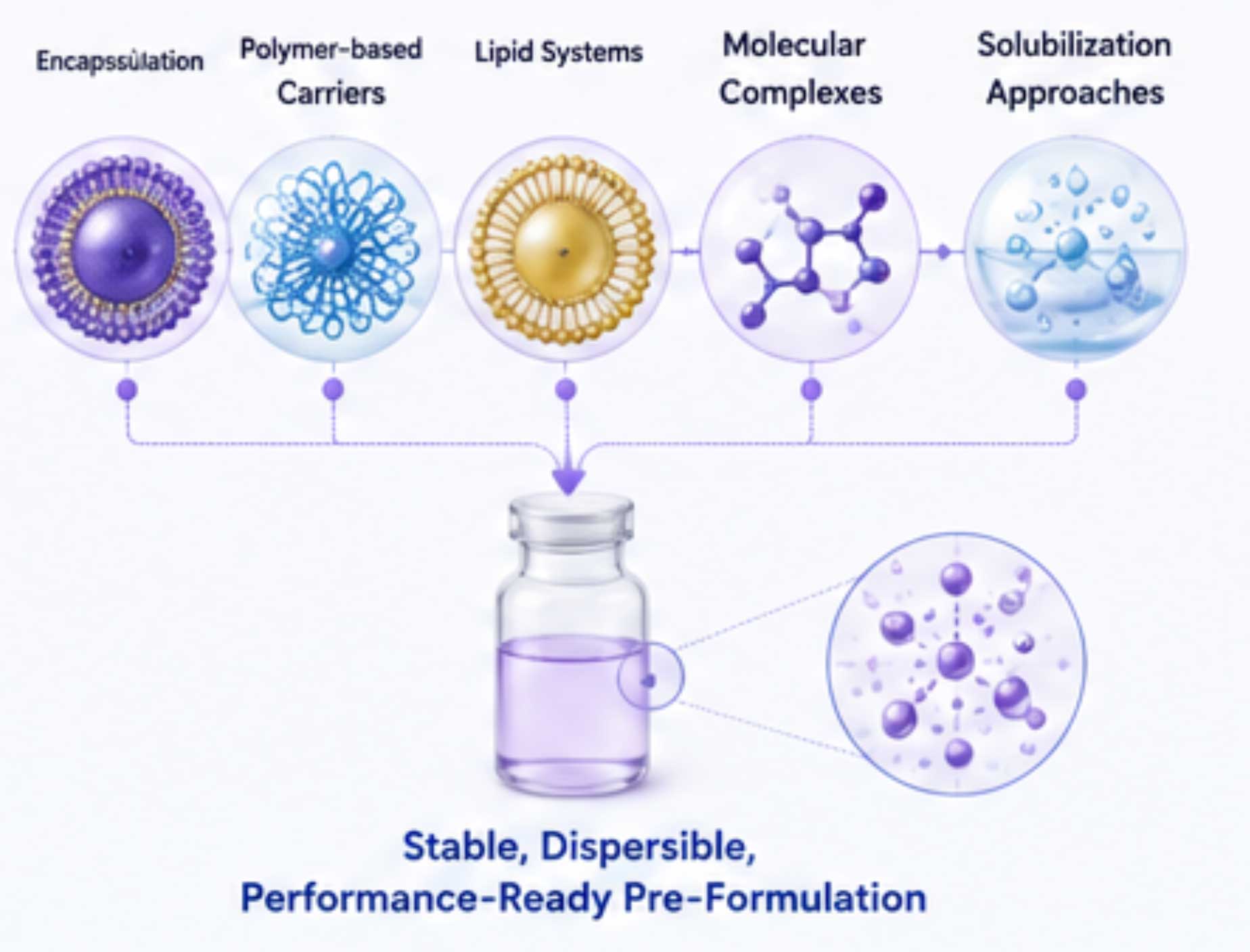 Ingredient to Pre-Formulation — Stable Dispersible Performance Ready