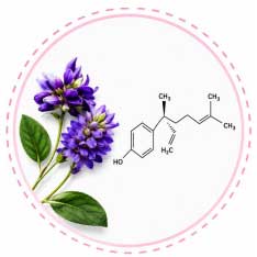 Premium Cosmetic Active Ingredients