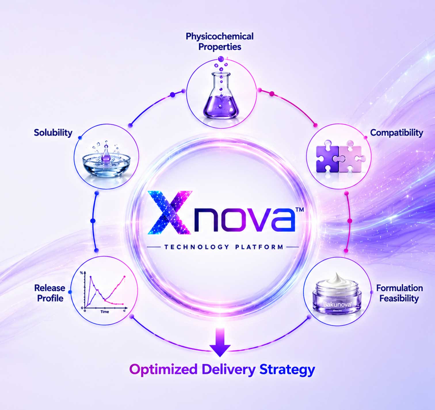 Xnova Scientific Workflow — Physicochemical Properties, Solubility, Compatibility, Release Profile, Formulation Feasibility, Optimized Delivery Strategy